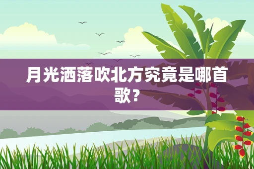 月光洒落吹北方究竟是哪首歌？