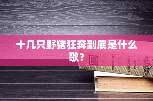 十几只野猪狂奔到底是什么歌？