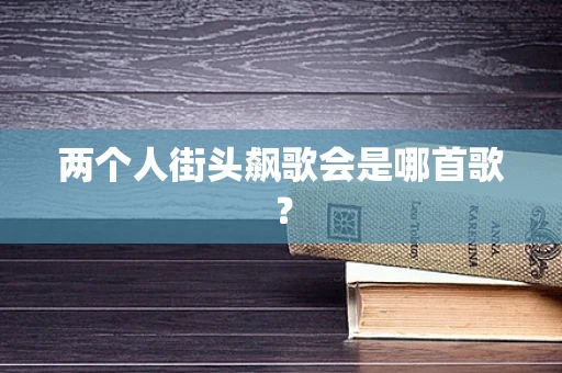 两个人街头飙歌会是哪首歌？