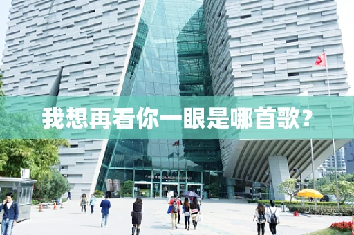 我想再看你一眼是哪首歌？