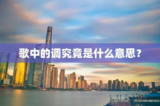 歌中的调究竟是什么意思？
