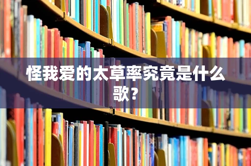 怪我爱的太草率究竟是什么歌？