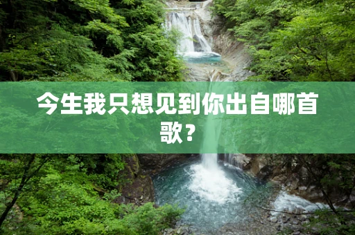 今生我只想见到你出自哪首歌？