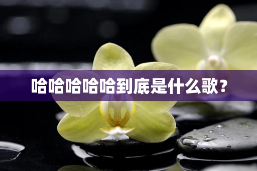 哈哈哈哈哈到底是什么歌？