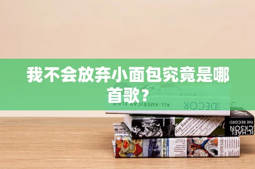 我不会放弃小面包究竟是哪首歌？