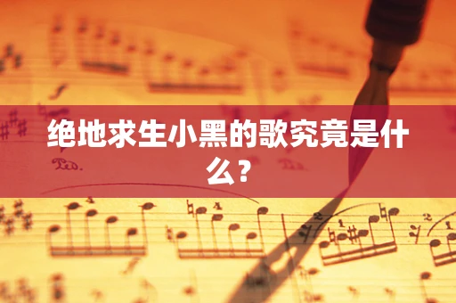 绝地求生小黑的歌究竟是什么？