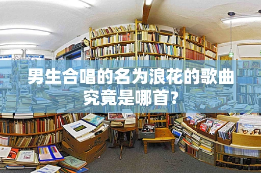 男生合唱的名为浪花的歌曲究竟是哪首？