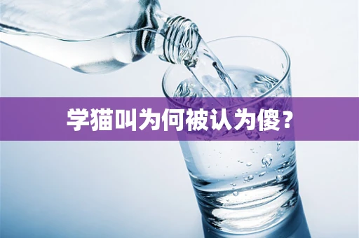 学猫叫为何被认为傻？