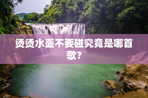 烫烫水壶不要碰究竟是哪首歌？