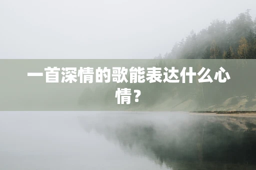 一首深情的歌能表达什么心情？