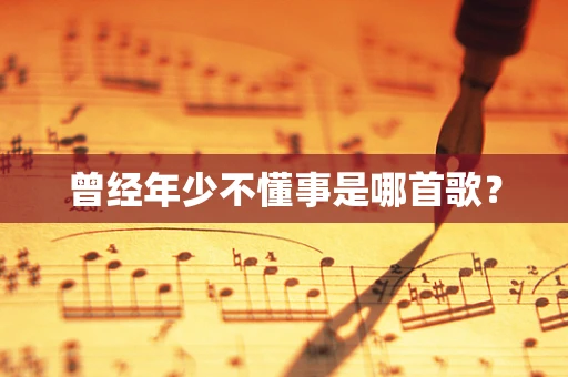 曾经年少不懂事是哪首歌？
