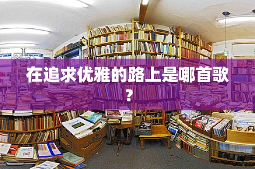 在追求优雅的路上是哪首歌？