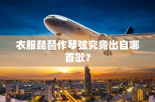 衣服琵琶作琴弦究竟出自哪首歌？