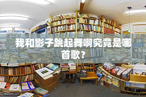 我和影子跳起舞啊究竟是哪首歌？