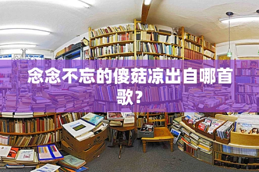念念不忘的傻菇凉出自哪首歌？