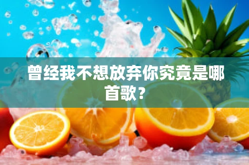曾经我不想放弃你究竟是哪首歌？