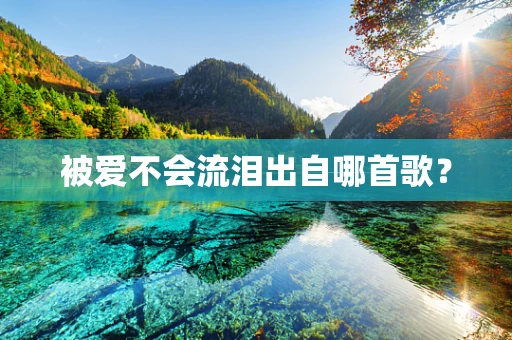 被爱不会流泪出自哪首歌？