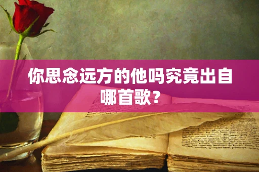 你思念远方的他吗究竟出自哪首歌？