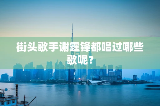 街头歌手谢霆锋都唱过哪些歌呢？