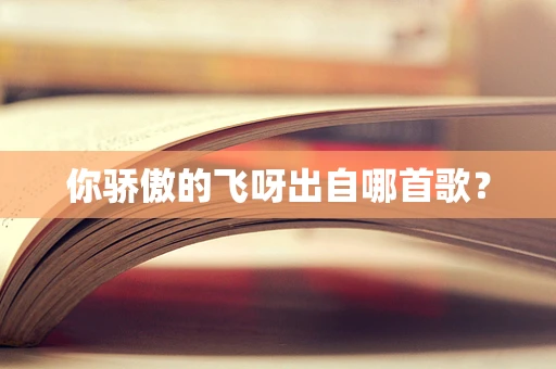 你骄傲的飞呀出自哪首歌？