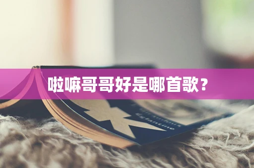 啦嘛哥哥好是哪首歌？