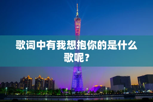 歌词中有我想抱你的是什么歌呢？