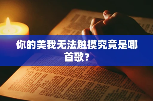 你的美我无法触摸究竟是哪首歌？