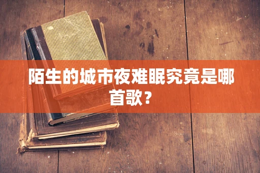 陌生的城市夜难眠究竟是哪首歌？
