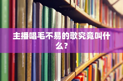 主播唱毛不易的歌究竟叫什么？