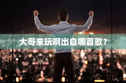 大哥来玩啊出自哪首歌？