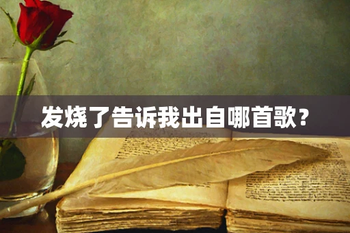 发烧了告诉我出自哪首歌？