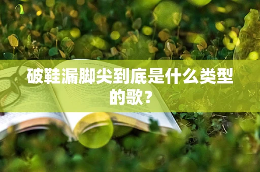 破鞋漏脚尖到底是什么类型的歌？