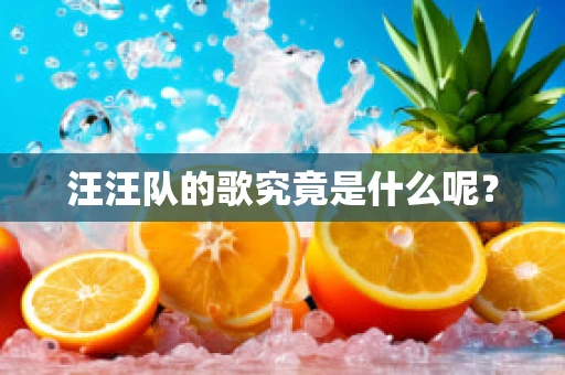 汪汪队的歌究竟是什么呢？
