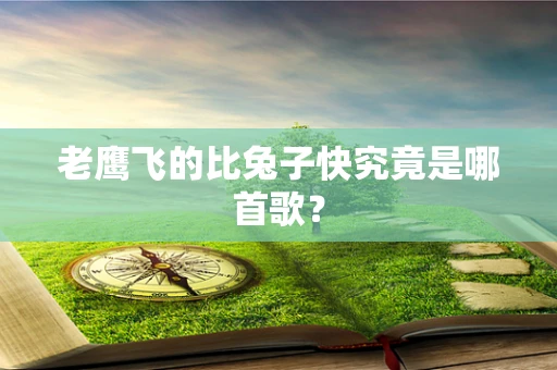 老鹰飞的比兔子快究竟是哪首歌？