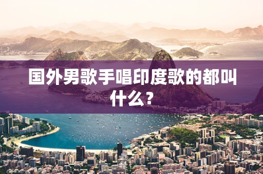 国外男歌手唱印度歌的都叫什么？