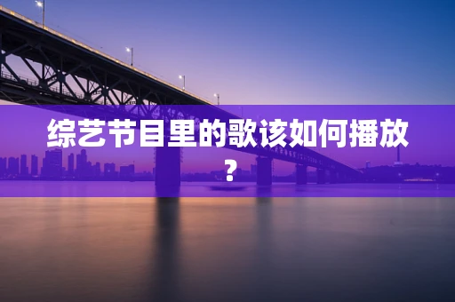 综艺节目里的歌该如何播放？