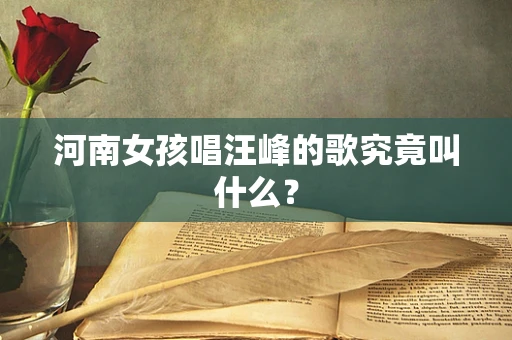 河南女孩唱汪峰的歌究竟叫什么？