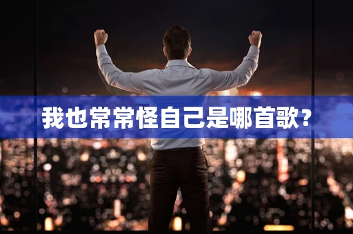 我也常常怪自己是哪首歌？