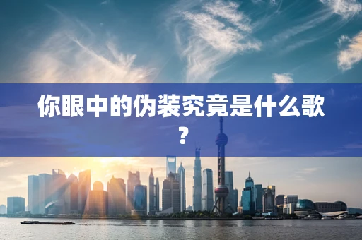 你眼中的伪装究竟是什么歌？