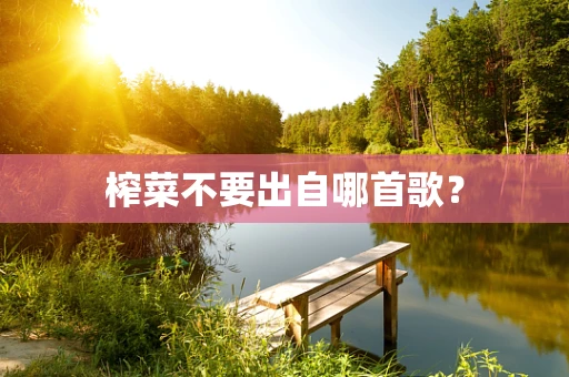 榨菜不要出自哪首歌？
