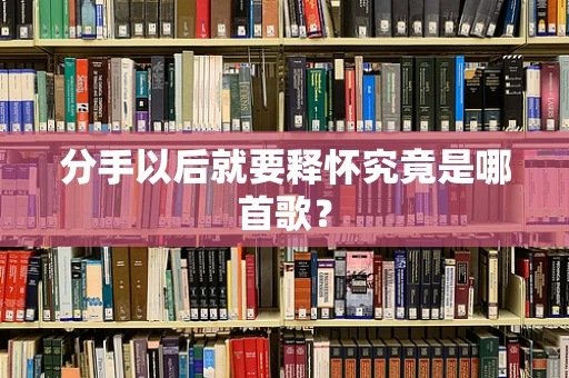 分手以后就要释怀究竟是哪首歌？