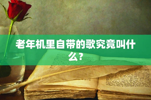 老年机里自带的歌究竟叫什么？