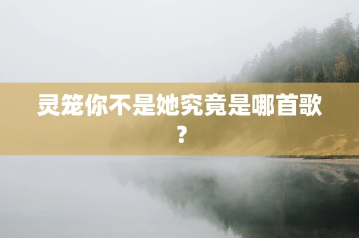 灵笼你不是她究竟是哪首歌？