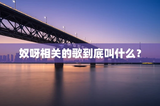 奴呀相关的歌到底叫什么？