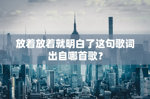 放着放着就明白了这句歌词出自哪首歌？