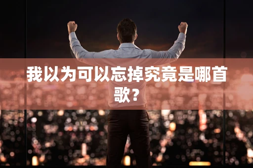 我以为可以忘掉究竟是哪首歌？