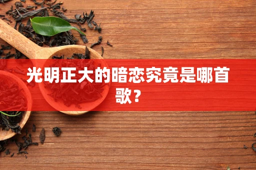 光明正大的暗恋究竟是哪首歌？