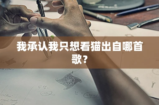 我承认我只想看猫出自哪首歌？
