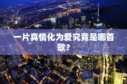 一片真情化为爱究竟是哪首歌？