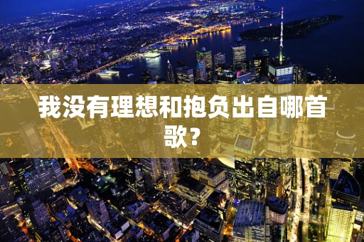 我没有理想和抱负出自哪首歌？